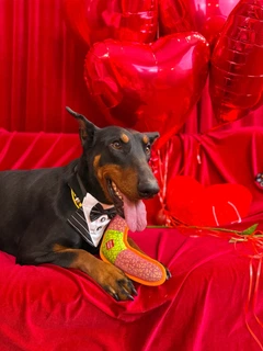 Іграшка для собак WAUDOG Fun, "Бумеранг", Рожева (62077)