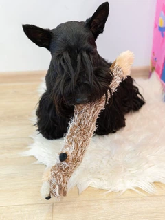 Іграшка для собак GiGwi Plush Вовк з пискавками, текстиль, 37 см (75325)