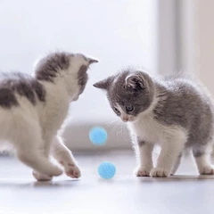 Іграшка для кошенят Різнокольорові помпони 10 шт 3 см CAPSBOARD POM POMS (400009)