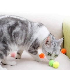 Іграшка для кошенят Різнокольорові помпони 10 шт 3 см CAPSBOARD POM POMS (400009)