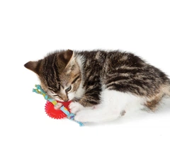 Outward Hound Іграшка для котів OutwardHound Petstages Kitty Chew Wheel