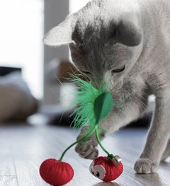 Іграшка для котів Petstages Дентал вишня Червоний