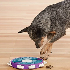 Outward Hound Іграшка інтерактивна для собак OutwardHound Nina Ottosson Dog Twister
