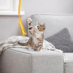 Іграшка для котів Trixie паличка з плюшевою стрічкою 40 см (MLZ11965)