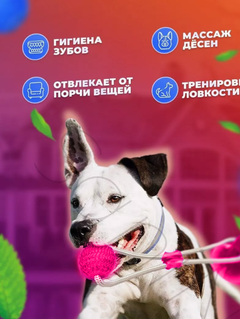 Grand Іграшка для собак Тягни-Кусай Dog Toy Rope рожева на присосці