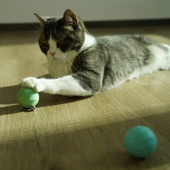 М'ячик для котів Cheerble Ice Cream Ball C0419-C (Зелений)