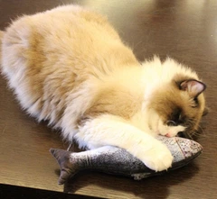 Без бренда Риба іграшка для кота плюшева 3D Форель CatNip з котячою м'ятою 30 см