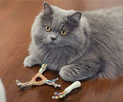 Іграшка для котів Petstages для зубів з кошачаю м'ятою (0871864003267)