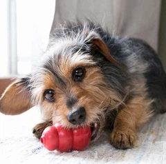 Іграшка Kong Puppy для цуценят груша-годівниця M