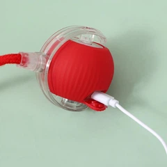 Без бренду Інтерактивний смарт-м'яч для котів і собак WikerBall зі світловими та звуковими ефектами, червоний