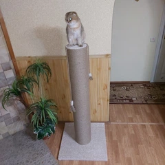 Без бренду Високий товстий стовп кігтеточка для котів котів великих порід 134см бежево молочна