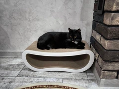 Без бренда Кігтеточка - лежанка дряпка для кішок та котів WellCat Premium 60.5х24х22.5 см