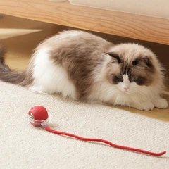 Без бренду Інтерактивна іграшка для тварин Rolling Ball Red