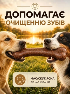 Без бренду Міцна жувальна іграшка для собак 18,5 см зі смаком яловичини у формі кістки безпечна для всіх порід з міцного полипропилену