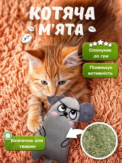Без бренду Іграшка для котів “Мишка-дражнилка” з котячою м’ятою всередині