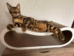Кігтеточка - лежанка для котів "Leo Pets" L (72х24х25см)