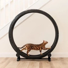 Бігове колесо для котів CutePet R01 XXL для середніх та великих порід кішок Колір Чорний
