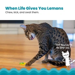 Outward Hound Іграшка для котів Catstages Lemon Teether