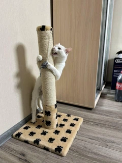 Oppa Styopa Дряпка Кігтеточка стовпчик для кота 70 см "Юта" сизаль Oppa_Styopa