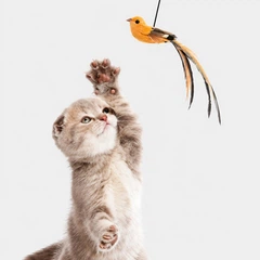 Без бренда Інтерактивна іграшка для котів Bird Teaser з пташкою на присосці, дражнилка для котів на гнучкому тросі, розвиваюча іграшка для активних ігор (137979167)