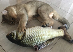 Іграшка для кішок плюшева риба 3D CAPSBOARD FISH (900000)