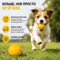 Без бренду М'яч для собак іграшка для жування, апорту та активних ігор 9 см