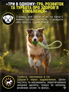 Іграшка для собак і котів канат з м’ячем для зубів Petify RopeBall M озерний блакитний, 37 см, м’яч 5 см, плетені вузли, стійка до укусів, пластик, Арт. ТМ24