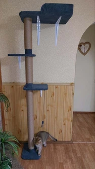 Без бренду Кігтеточка дерево лазалка для котів, кішок з великою лежанкою висота 200см