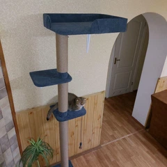 Без бренду Кігтеточка дерево лазалка для котів, кішок з великою лежанкою висота 200см