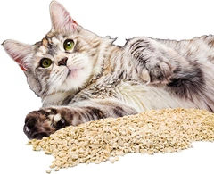 Наповнювач для котячого туалету Тофу Croci TOFU Clean 6 л/2,6 кг
