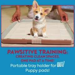 OUT! PetCare Складаний туалет під пелюшку для собак OUT! Training Pad Holder, 53 см х 53 см