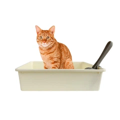 Туалет для кішок з лопаткою Taotaopets 263303-2 38х28х9 см Yellow (14383-92815)