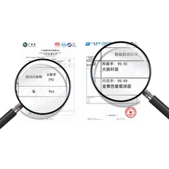 Пелюшки HONEYCARE Haomingtiansheng для собак вбираючі, дезодоруючі, M, 6 упаковок