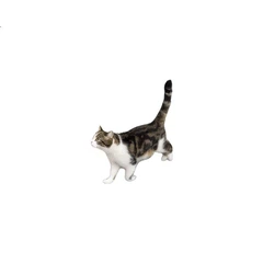 Килимок HELLOJOY для котячого туалету Extra Large вологозахищений, EVA