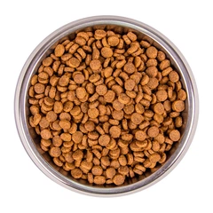 Monge Cat Monoprotein Rabbit – Сухий монопротеїновий корм з кроликом для дорослих котів