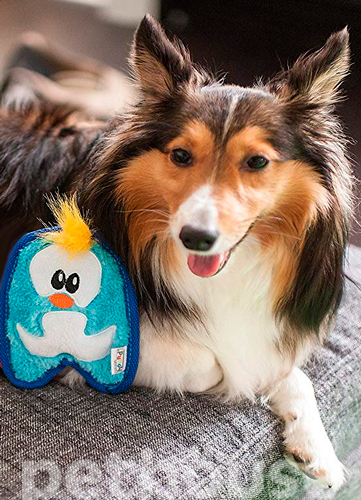 Outward Hound Invincibles Minis Pinguin "Непереможний пінгвін" для собак