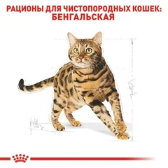Royal Canin Корм з куркою для дорослих котів