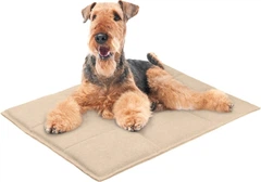 Килимок прямокутний Barksi ХS 30x40x1.5 см Бежевий (3801)