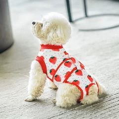 Костюм для відновлення після операції для собак VPETBR Strawberry, XS