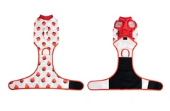 Костюм для відновлення після операції для собак VPETBR Strawberry, XS