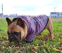 Куртка для собак DogClub Sunny XL Plum