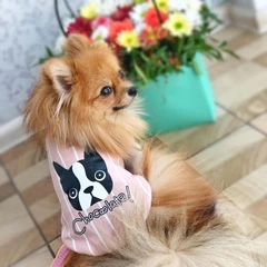 DogBaby Толстовка для собак мелких пород Dog Baby Chocolate 2XL Pink