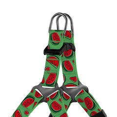 Шлей для Собак Дрібних Порід та Котів BronzeDog Urban Fruits Кавун 33-40 см (69/8729)