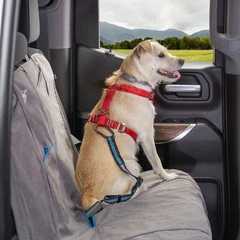 Ремінь безпеки для собак Kurgo Direct to Seatbelt Tether Blue (0813146019658)