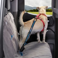 Ремінь безпеки для собак Kurgo Direct to Seatbelt Tether Blue (0813146019658)