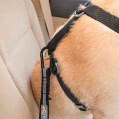 Ремінь безпеки для собак Kurgo Direct to Seatbelt Tether Blue (0813146019658)
