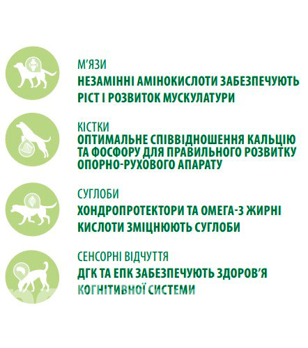 Nutrican Adult Large Breed