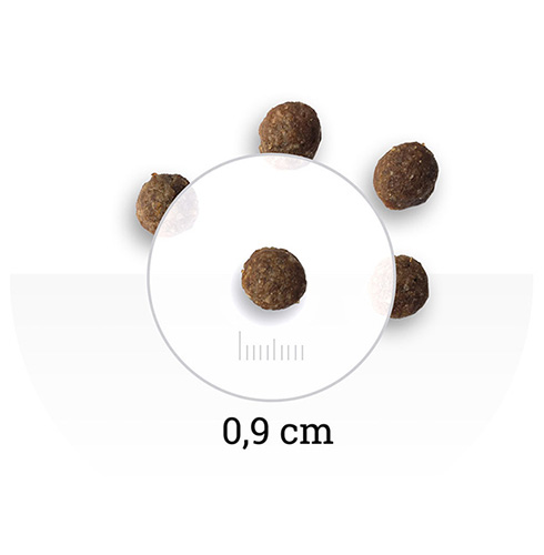 Bon Appetit Dog Adult Mini