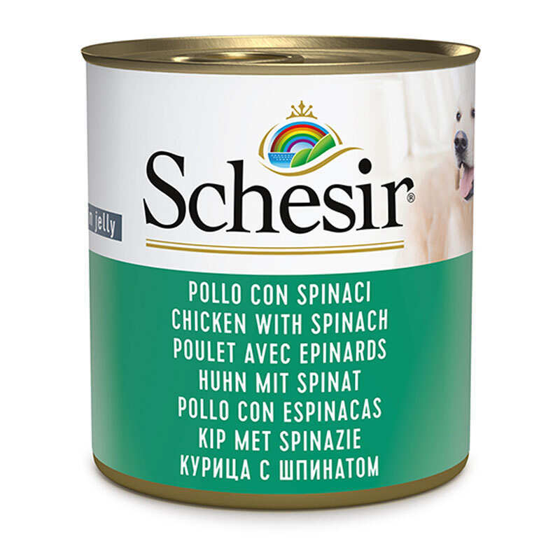 Schesir Вологий корм (шматочки в желе) з куркою для дорослих собак