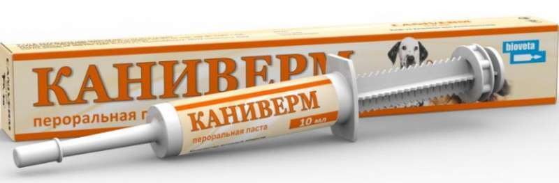 Bioveta (Биовета) Caniverm - Пероральная паста от глистов для кошек и собак (10 мл)